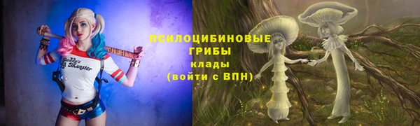 шишки Алзамай