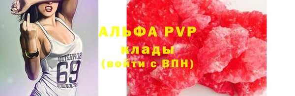 шишки Алзамай