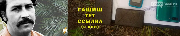 шишки Алзамай