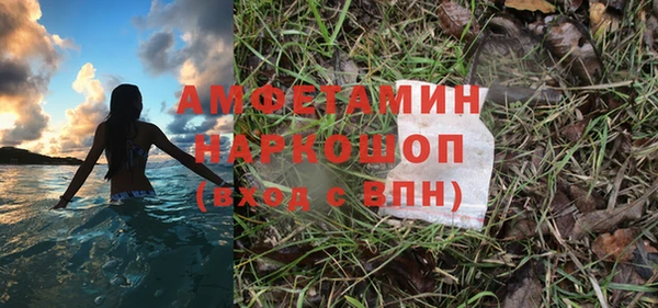 шишки Алзамай