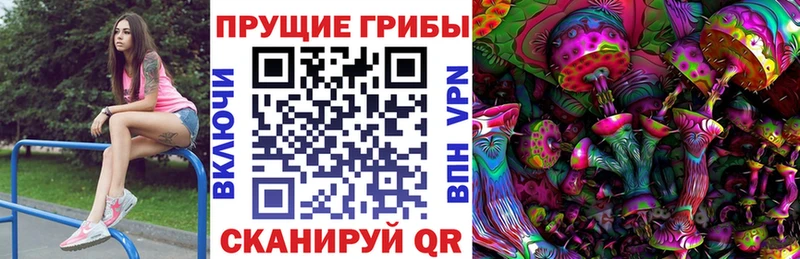 Псилоцибиновые грибы GOLDEN TEACHER  Протвино 