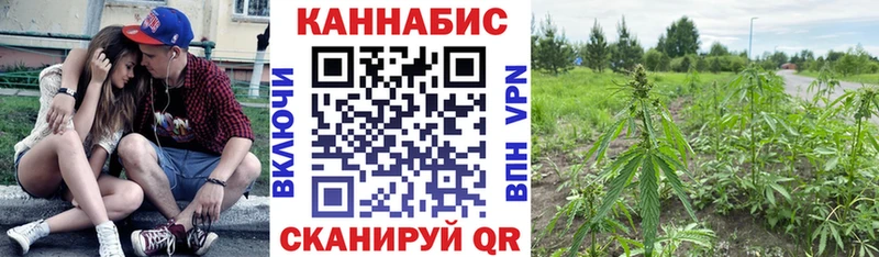 даркнет сайт Протвино Бошки марихуана гибрид